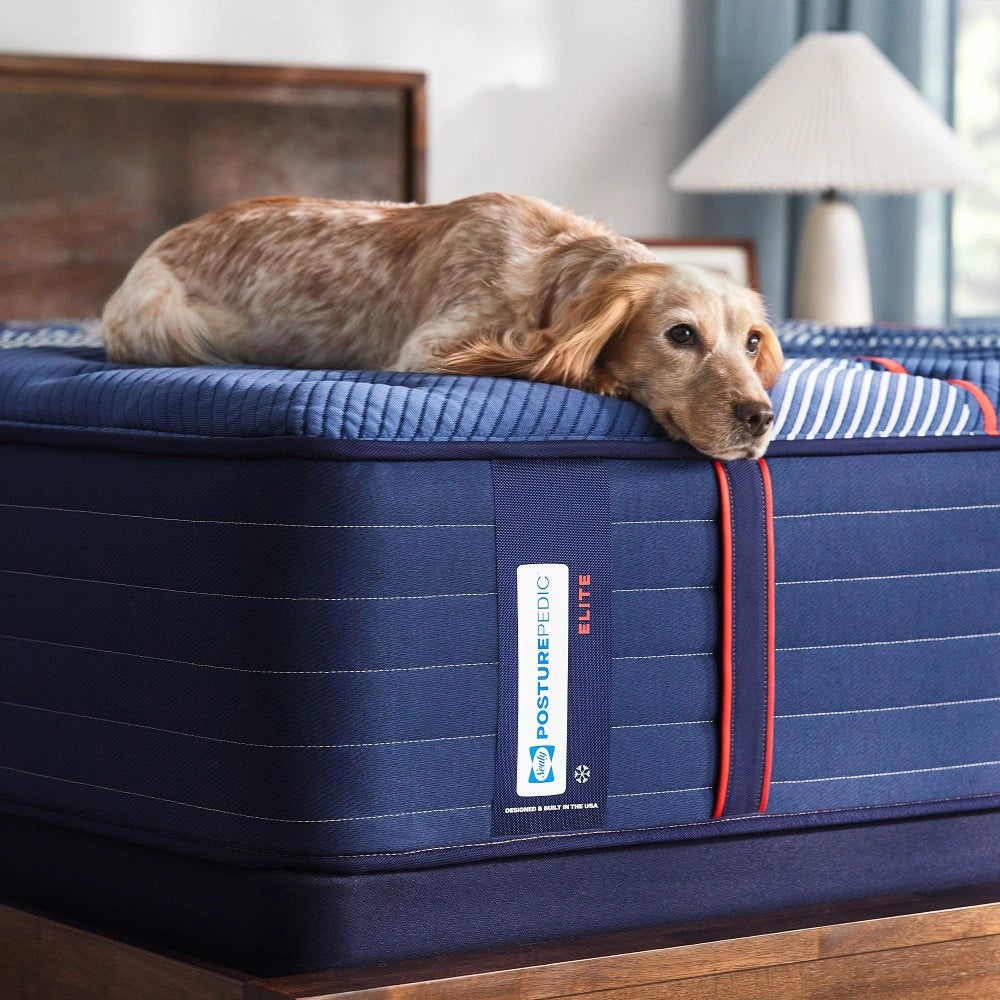 Sealy Albany II Spring Mattress