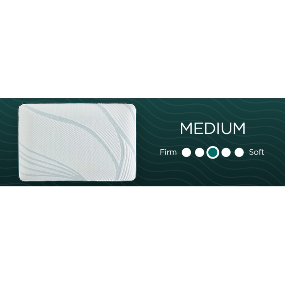 Tempur-Pedic Adapt ProLo 2.0