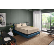 TEMPUR-Adapt Luxe Egyptian Cotton Sheets - Sandstone