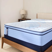 Sealy Paterson II Spring Mattress