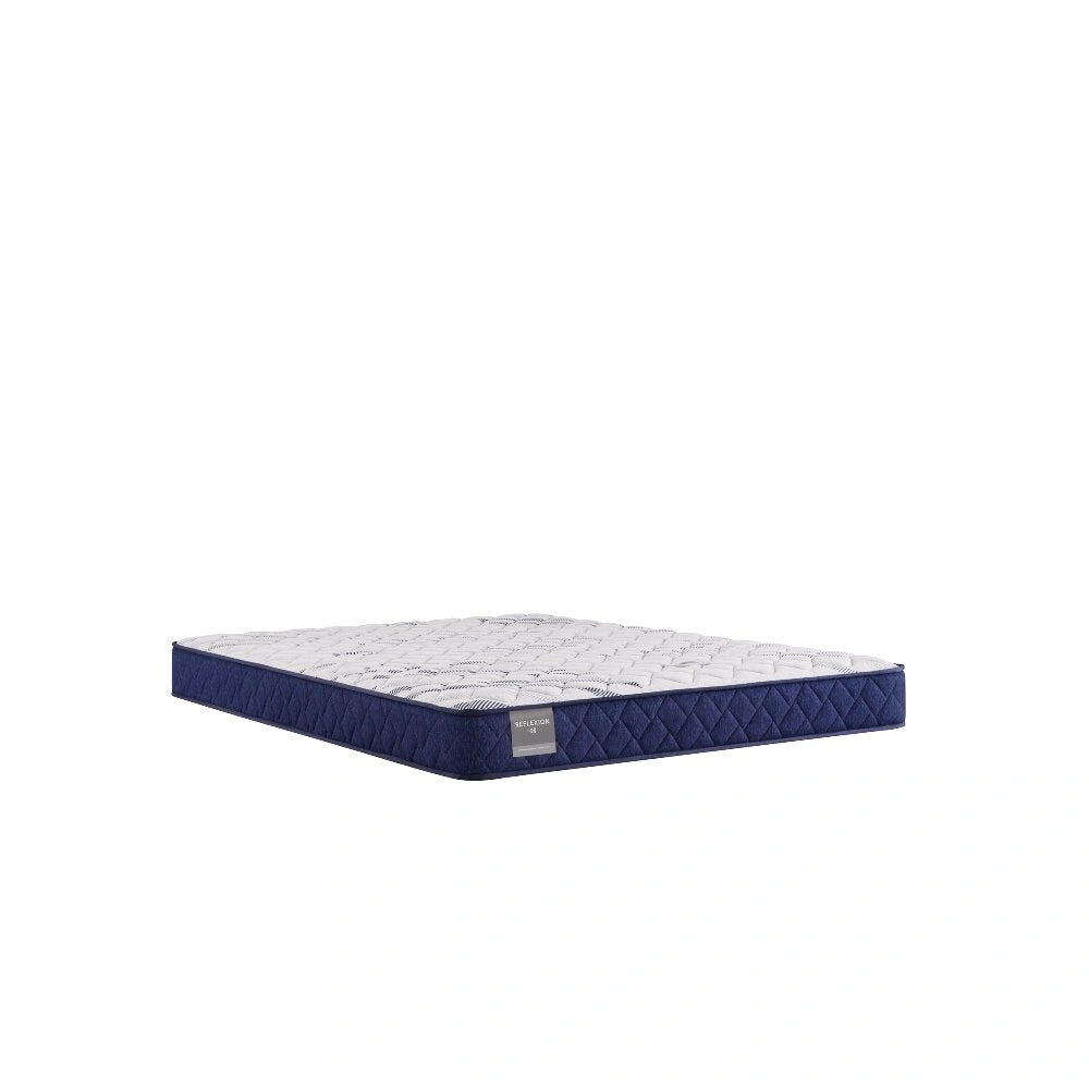 Sealy Oconee Foam Mattress