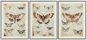 Jossletts Wall Art (Set of 3)