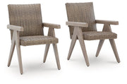 Cliff Trails Outdoor Arm Chair (Set of 2)