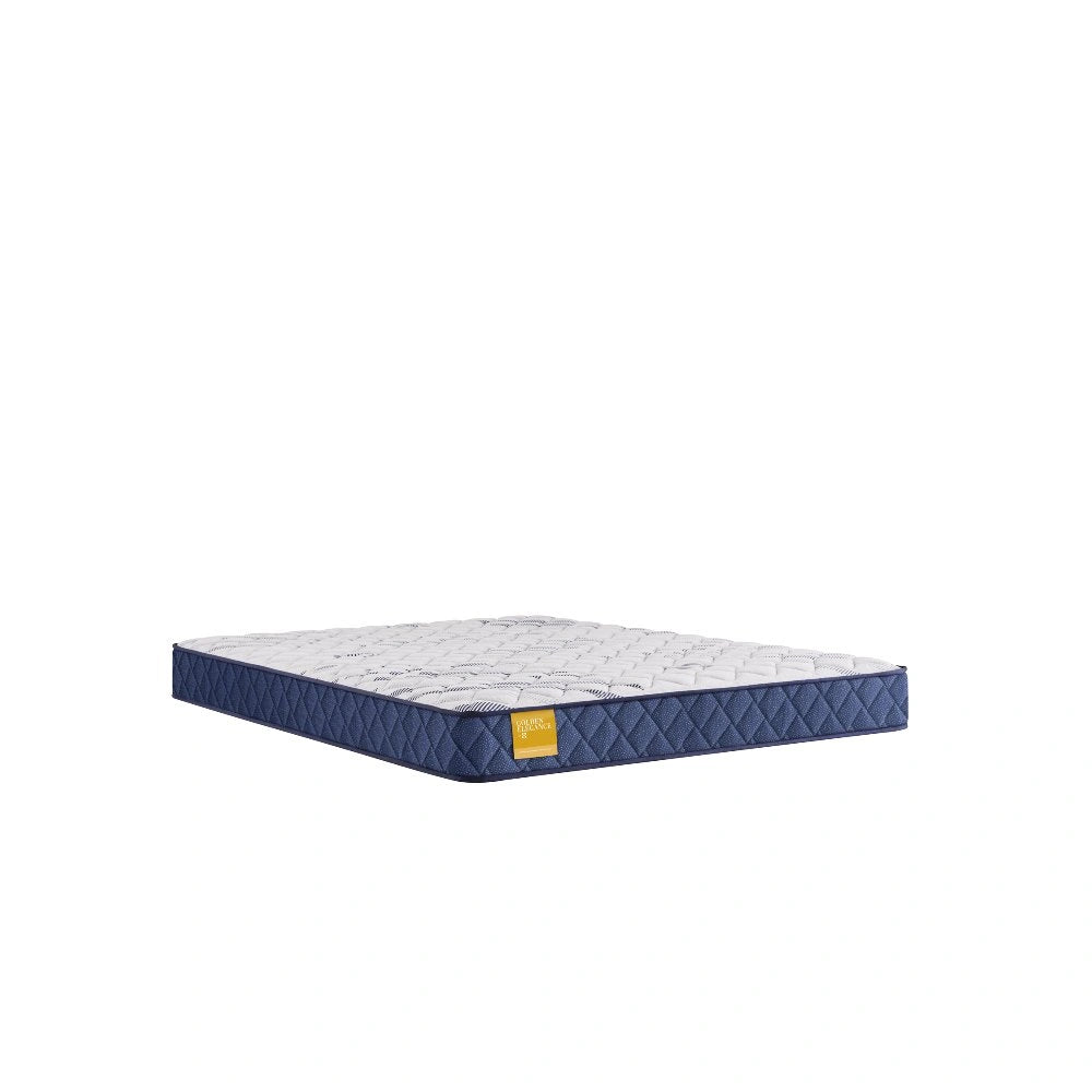 Sealy Erie Foam Mattress