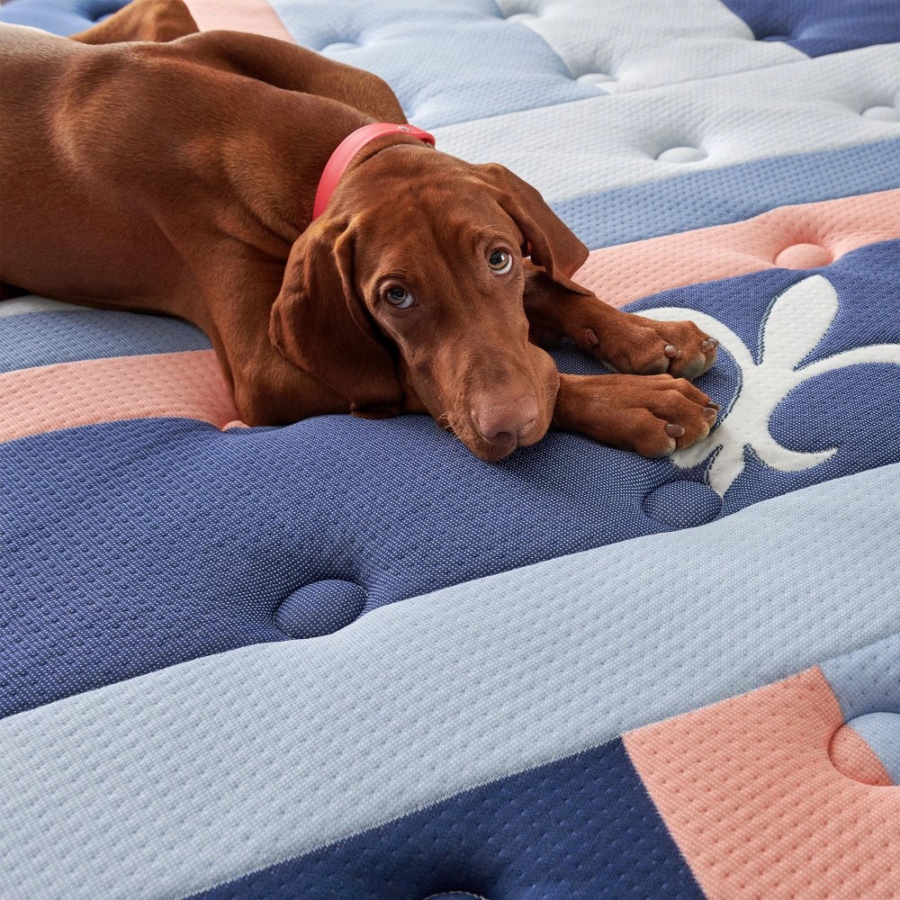 Reserve Duet Mattress